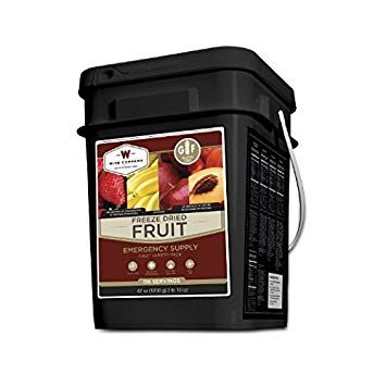 Wise Company Freeze Dried Fruit - 156 Servings Gluten Free